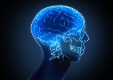Illustration of Scan of human brain on dark background, illustration