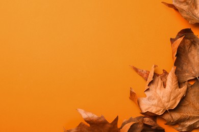 Image of Dry autumn leaves on orange background, flat lay. Space for text