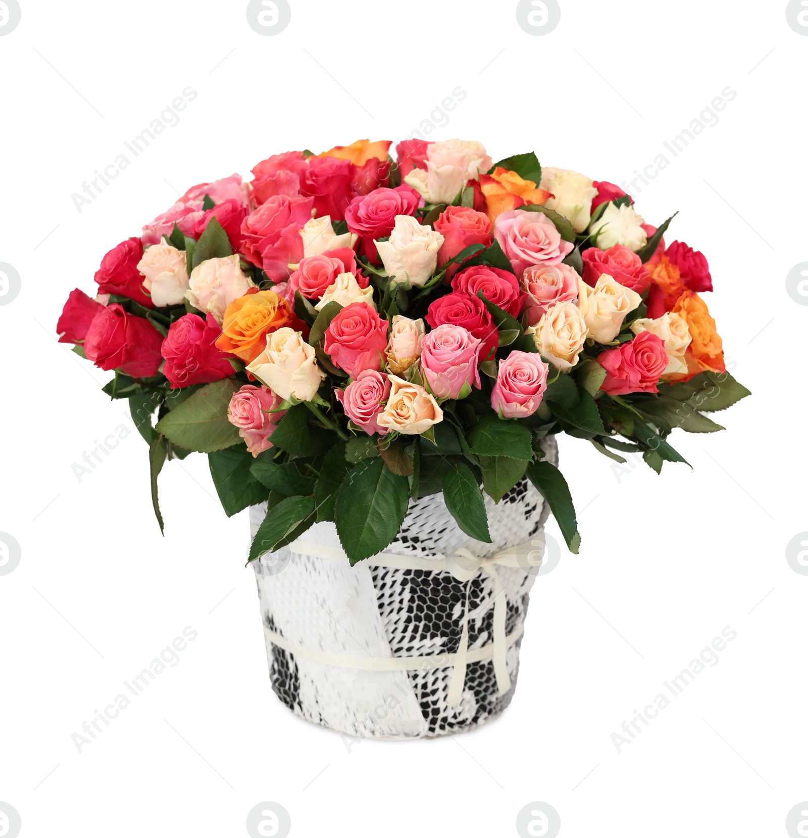 Photo of Bouquet of beautiful roses isolated on white