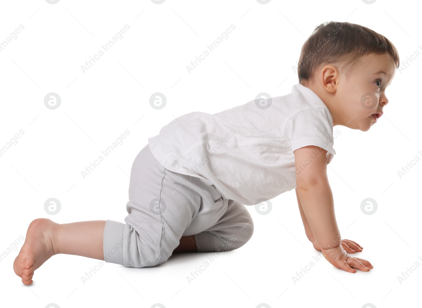 Photo of Cute little baby crawling on white background