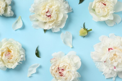 Beautiful peonies on color background, flat lay