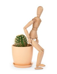 Photo of Wooden human figure and cactus on white background. Hemorrhoid problems