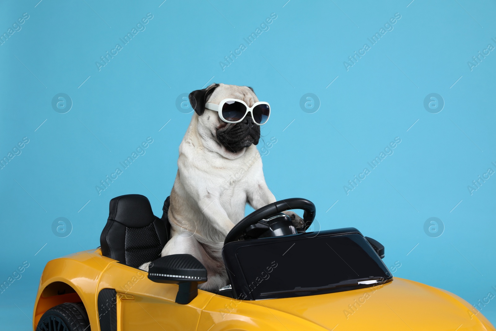 Photo of Funny pug dog with sunglasses in toy car on light blue background