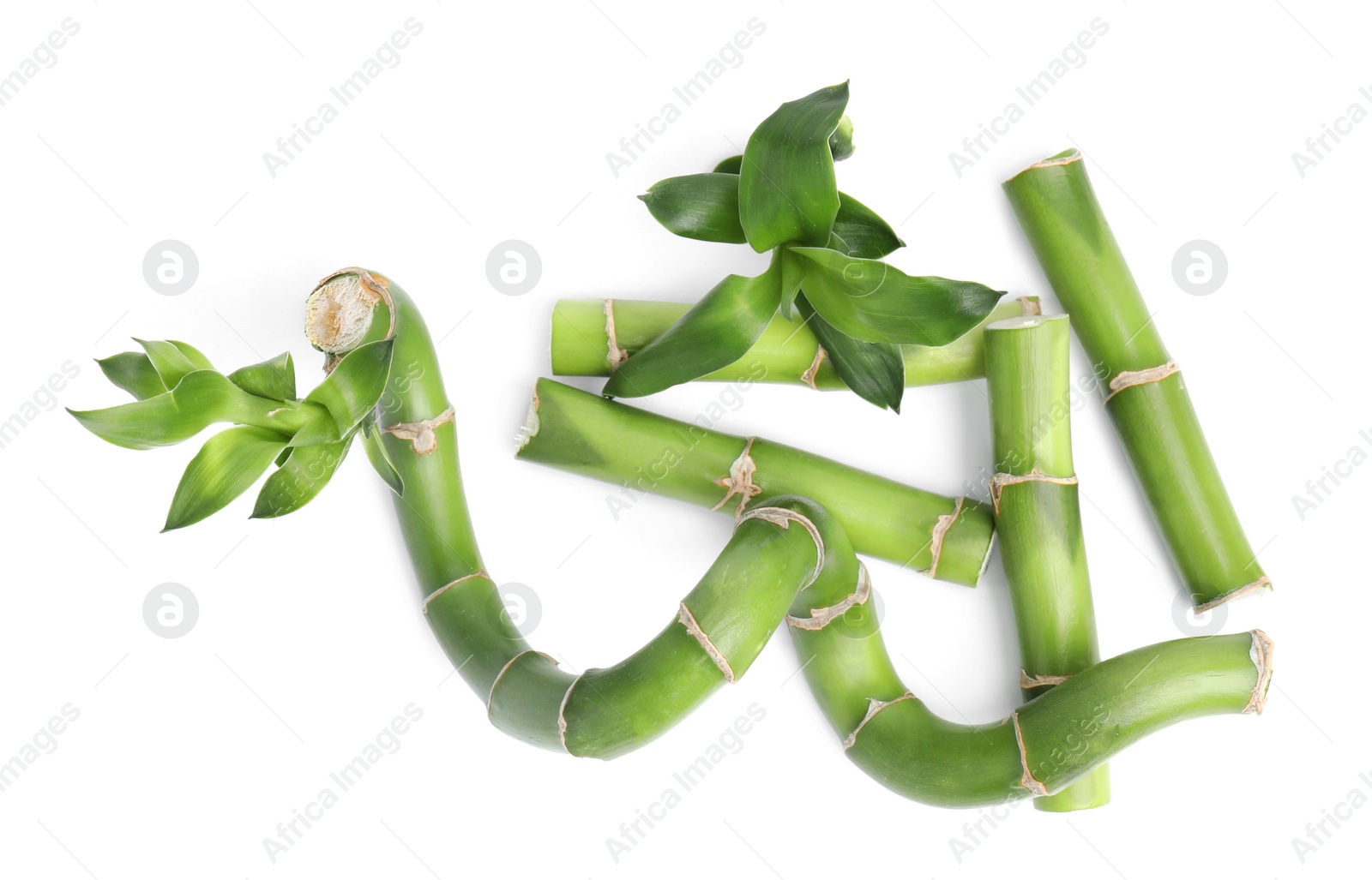 Photo of Pieces of beautiful green bamboo stems on white background, top view