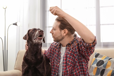 Photo of Adorable brown labrador retriever with owner on couch indoors