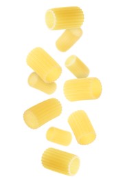 Image of Raw rigatoni pasta falling on white background