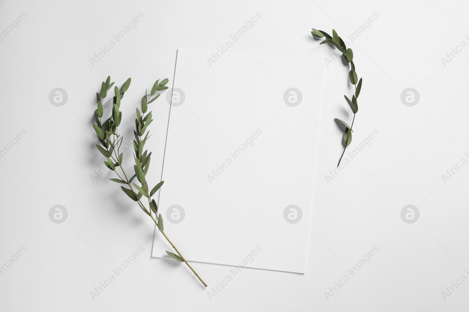 Photo of Empty sheet of paper and decorative leaves on white background, flat lay. Mockup for design