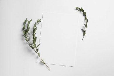 Empty sheet of paper and decorative leaves on white background, flat lay. Mockup for design