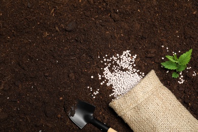 Photo of Flat lay composition with plant, fertilizer and shovel on soil, space for text. Gardening time