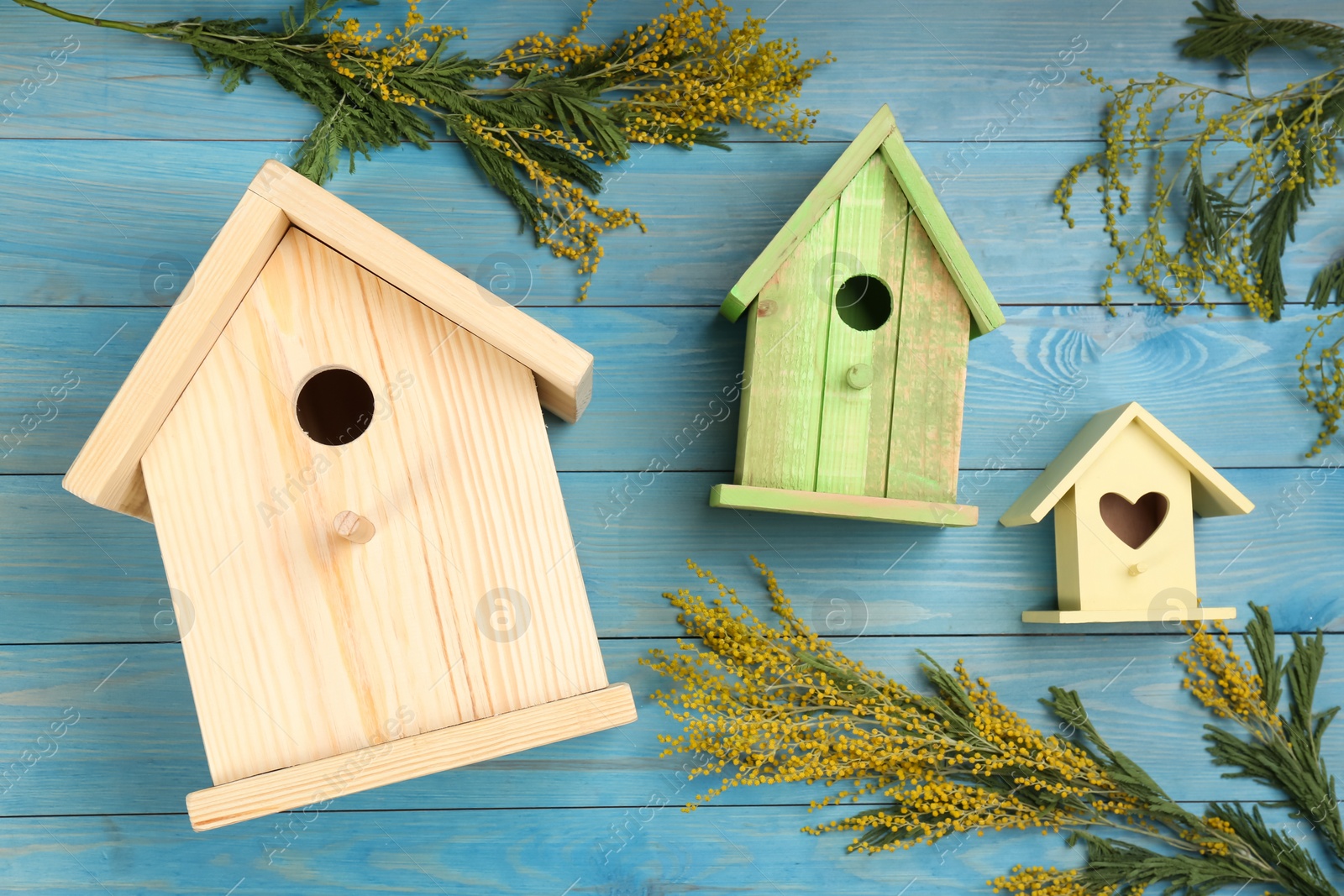 Photo of Many different bird houses and mimosa flowers on light blue wooden background. Spring flat lay composition