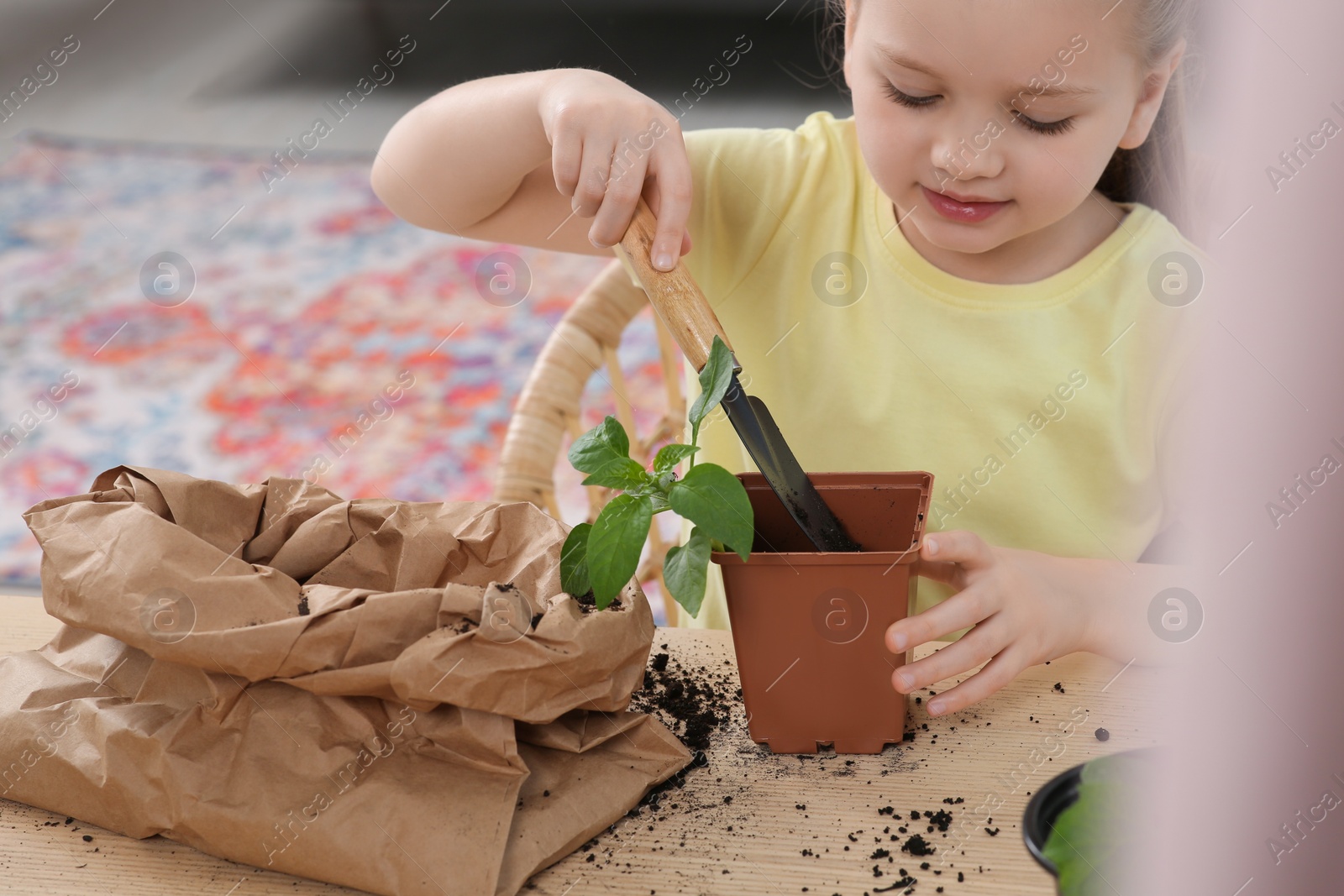 Photo of Cute little girl planting seedling into pot at wooden table indoors