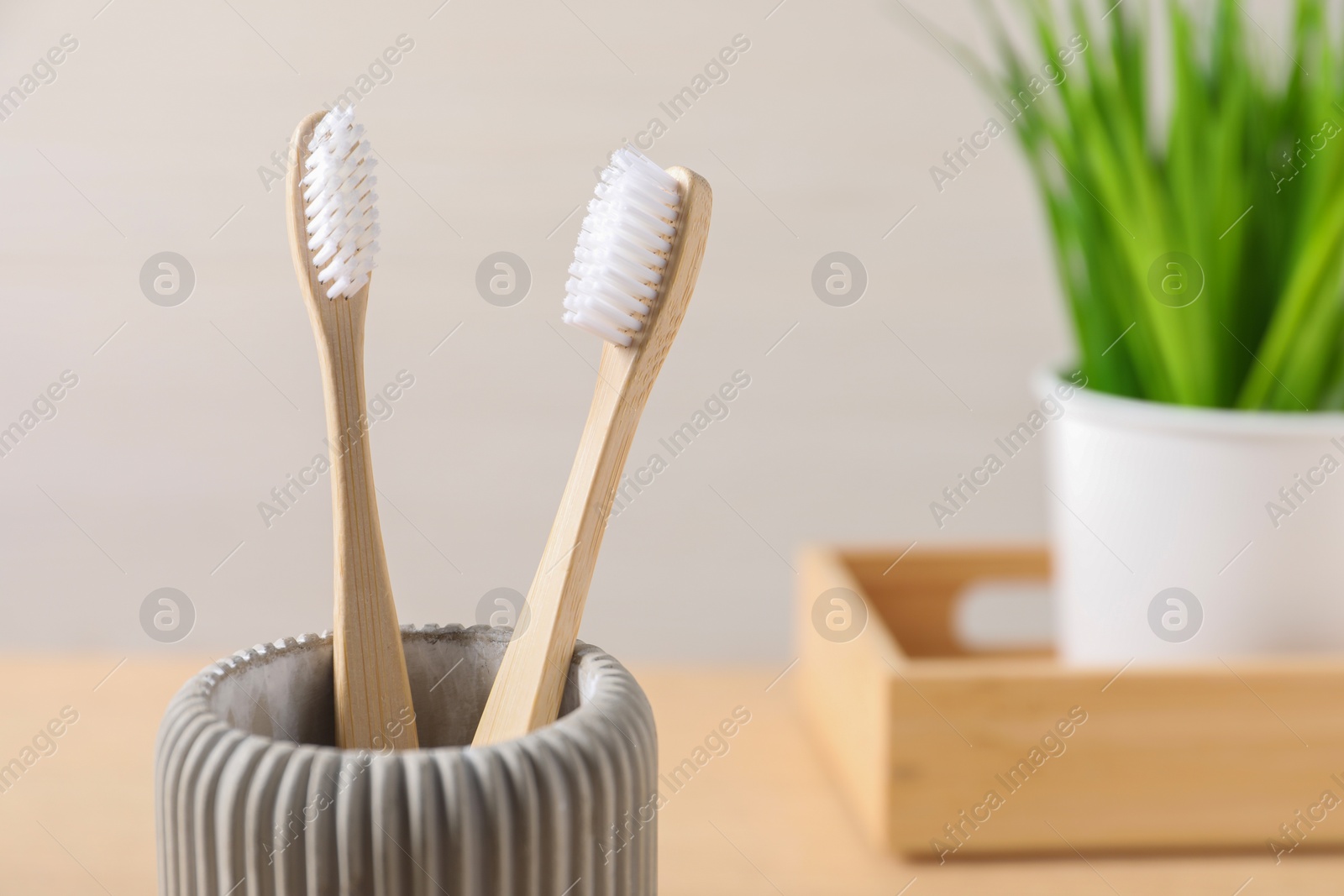 Photo of Bamboo toothbrushes in holder against light background, closeup