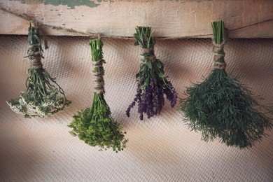 Photo of Bunches of different beautiful dried flowers hanging on rope near beige wall