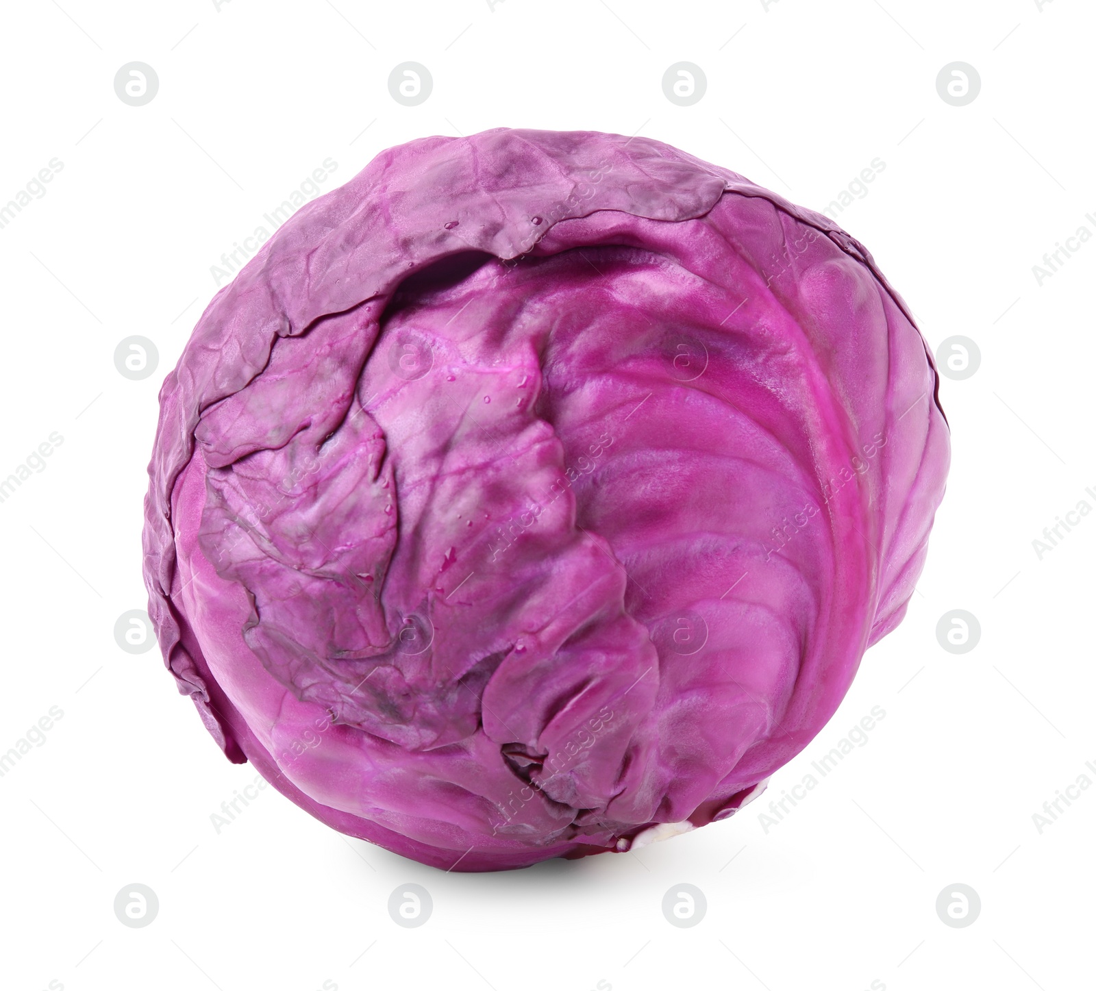 Photo of One whole red cabbage isolated on white