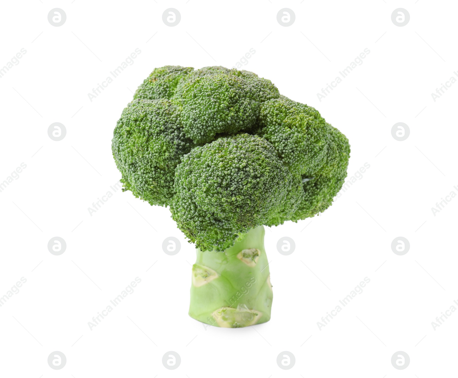 Photo of Fresh raw green broccoli isolated on white