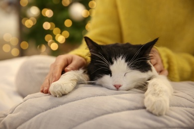 Woman stroking adorable cat in room with Christmas tree, closeup