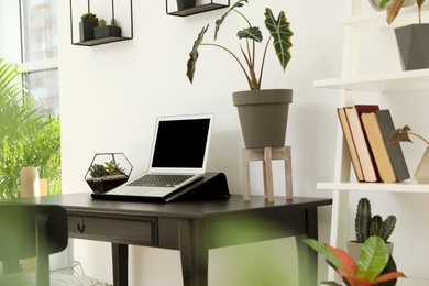 Trendy room interior with different home plants and laptop on table. Space for text