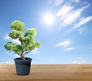 Image of Beautiful bonsai tree in pot on wooden table against blue sky, space for text