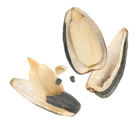 Image of Sunflower seeds with hull flying on white background