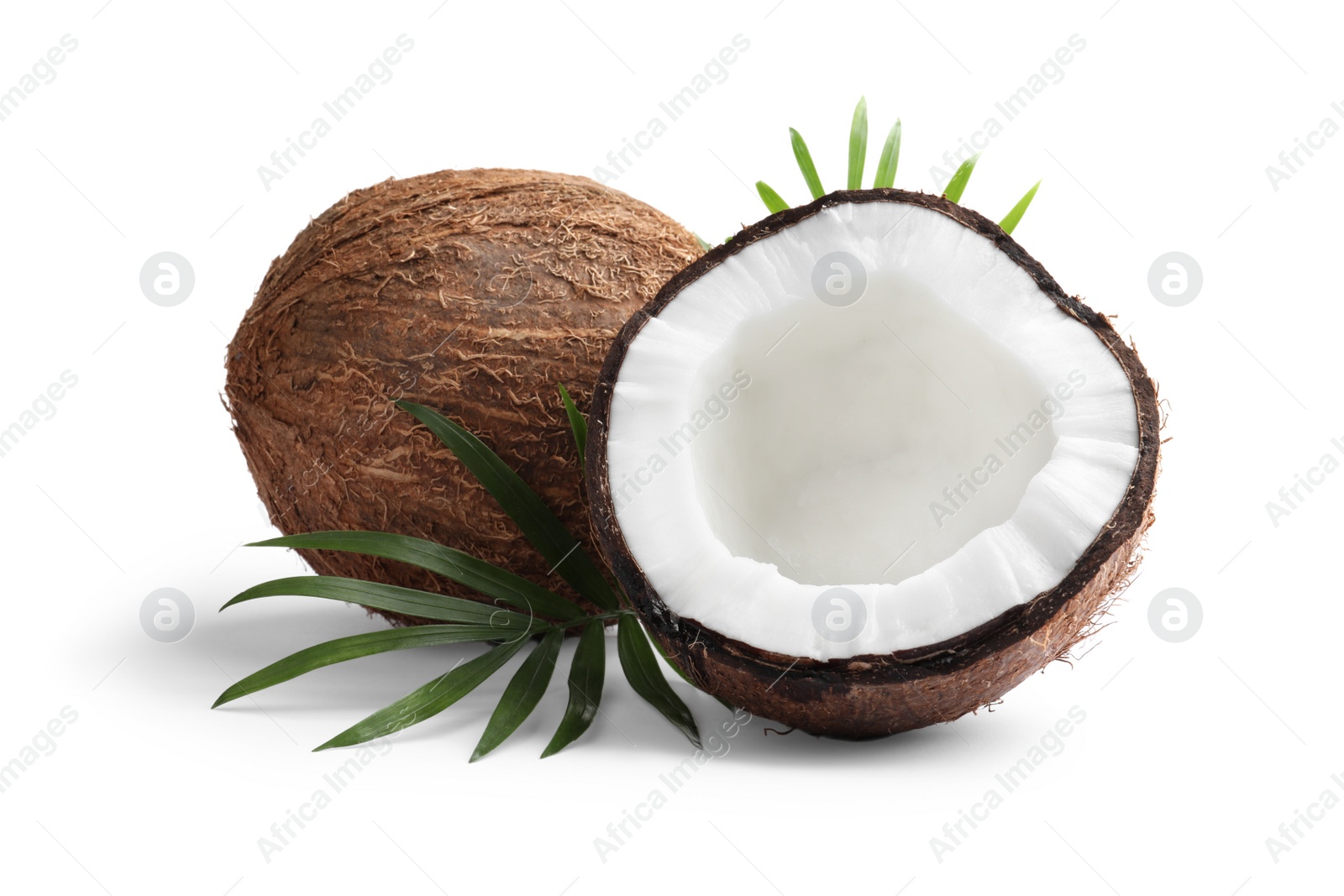 Photo of Fresh ripe coconuts with green leaves on white background