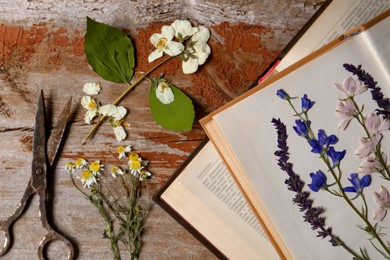 Photo of Old scissors with beautiful dried flowers and books on wooden table, flat lay