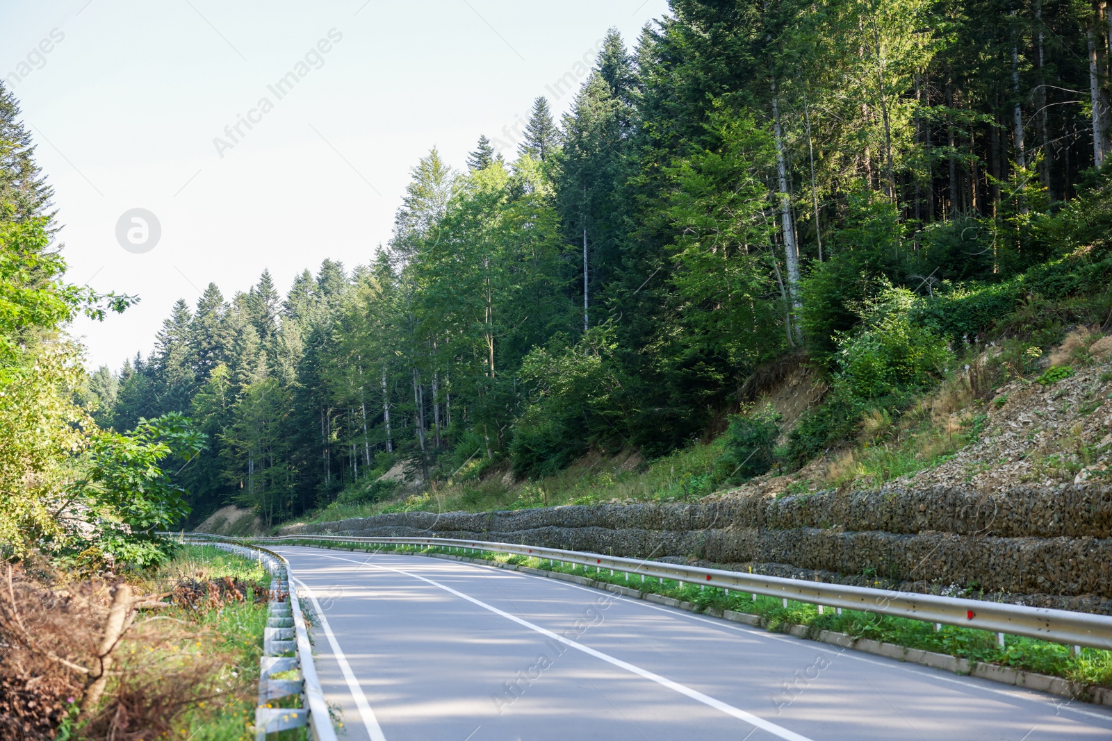 Photo of Picturesque view of empty asphalt road near forest