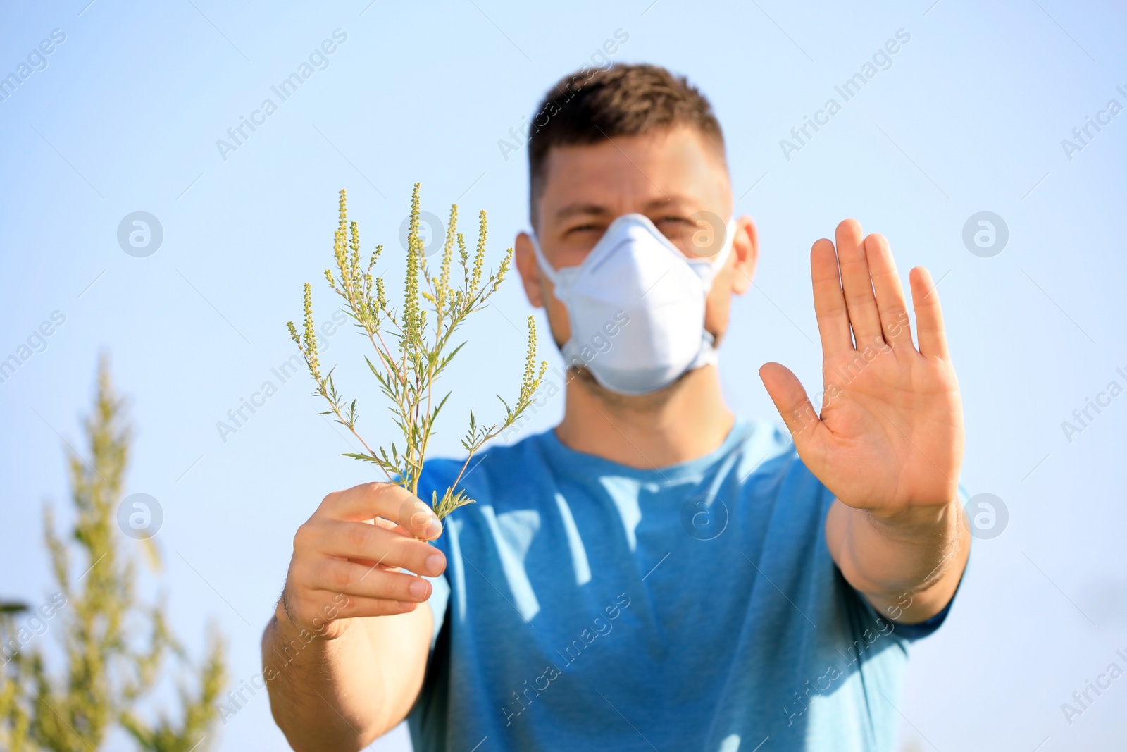 Photo of Man with ragweed branch suffering from allergy outdoors, focus on hands