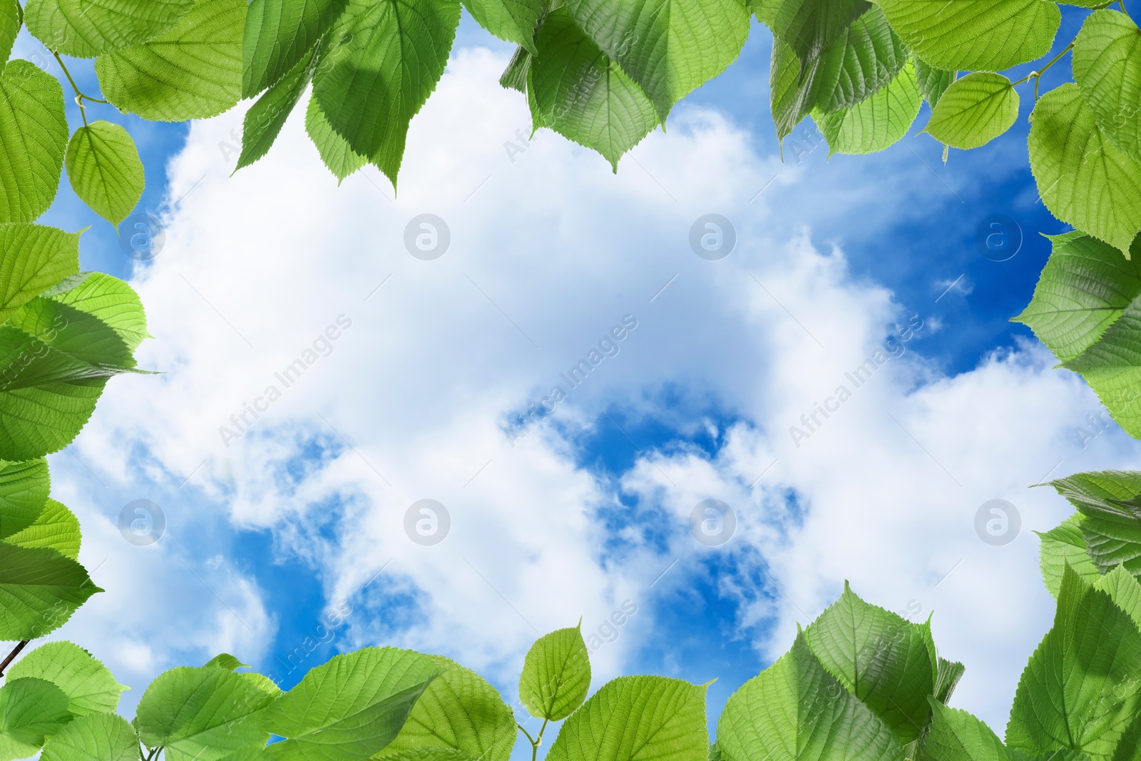 Image of Beautiful blue sky with clouds, view through vibrant green leaves