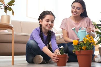 Mother and daughter taking care of potted plants on floor at home