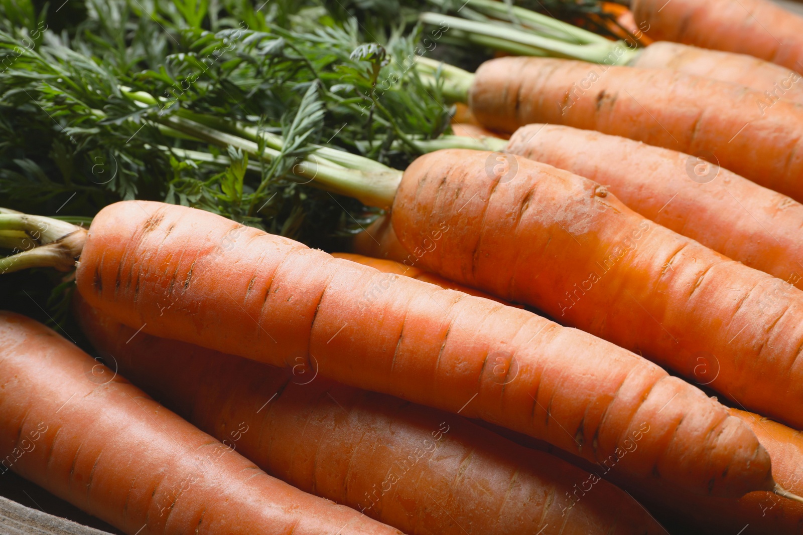 Photo of Many tasty fresh carrots as background, closeup