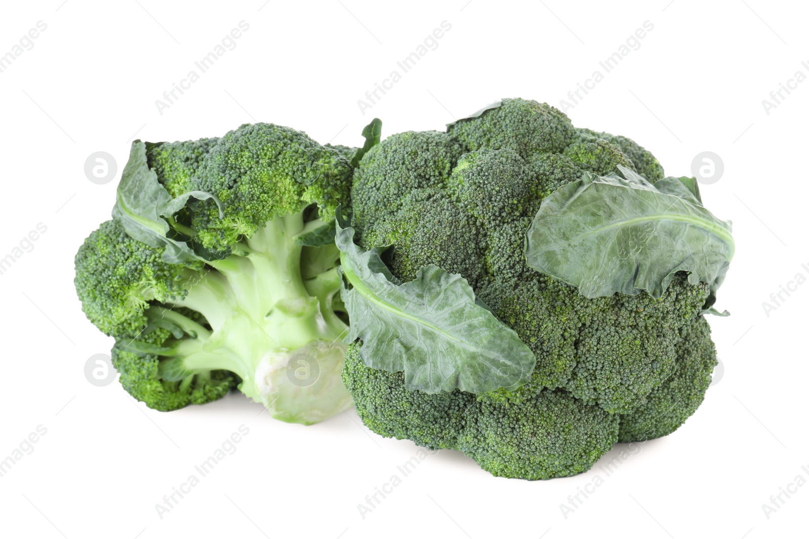 Photo of Fresh green broccoli isolated on white. Organic food