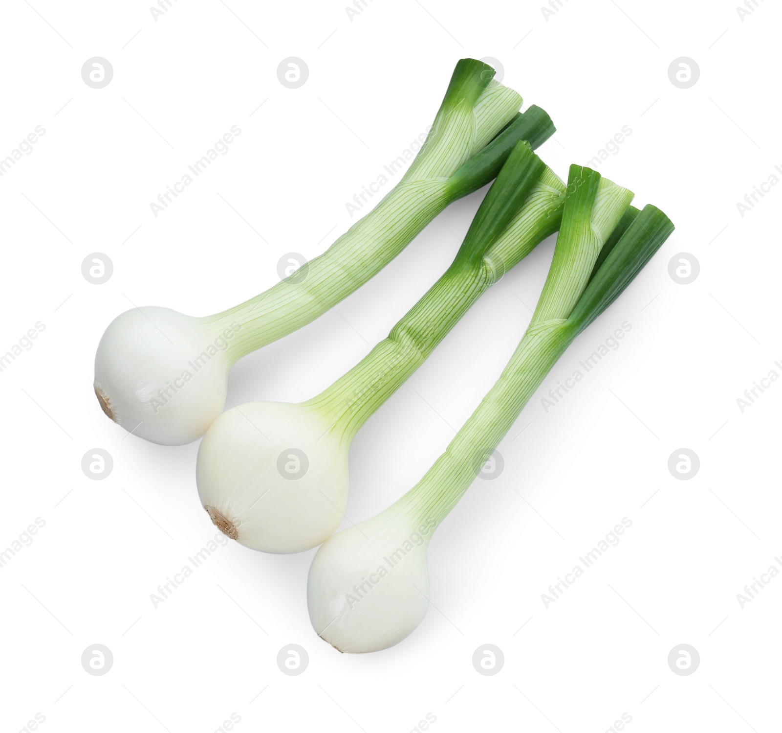 Photo of Whole green spring onions isolated on white, top view