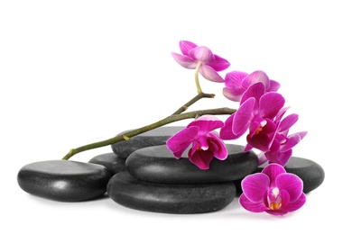 Orchid with spa stones on white background