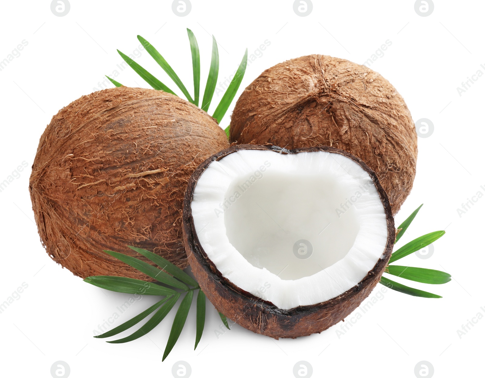 Photo of Fresh ripe coconuts with green leaves on white background