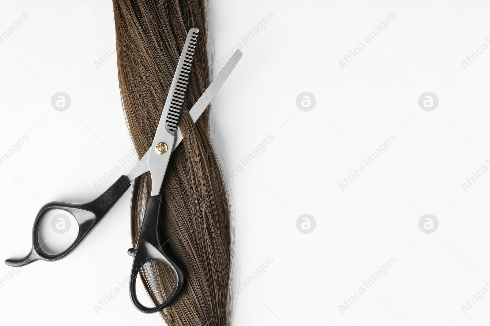 Photo of Brown hair and thinning scissors on white background, top view. Hairdresser service