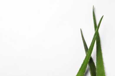 Photo of Green aloe vera leaves on white background, top view. Space for text