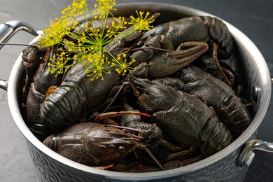 Photo of Fresh raw crayfishes with dill in pot on table, closeup