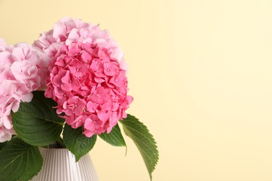 Photo of Bouquet with beautiful hortensia flowers on yellow background, closeup. Space for text