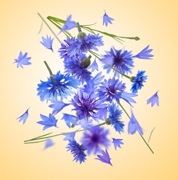 Bright cornflowers in air on golden background