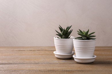 Photo of Succulent plants in pots on wooden table, space for text