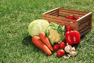 Different tasty vegetables and wooden crate on green grass