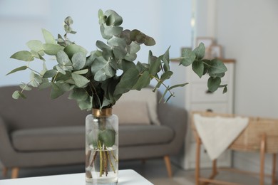 Photo of Beautiful eucalyptus branches in vase on white table indoors. Interior design