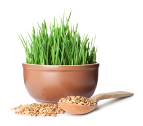 Photo of Bowl of fresh wheat grass with spoon and seeds isolated on white