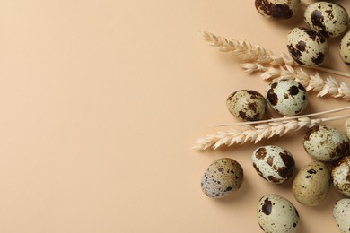 Photo of Many speckled quail eggs and decorative ears of wheat on beige background, flat lay. Space for text