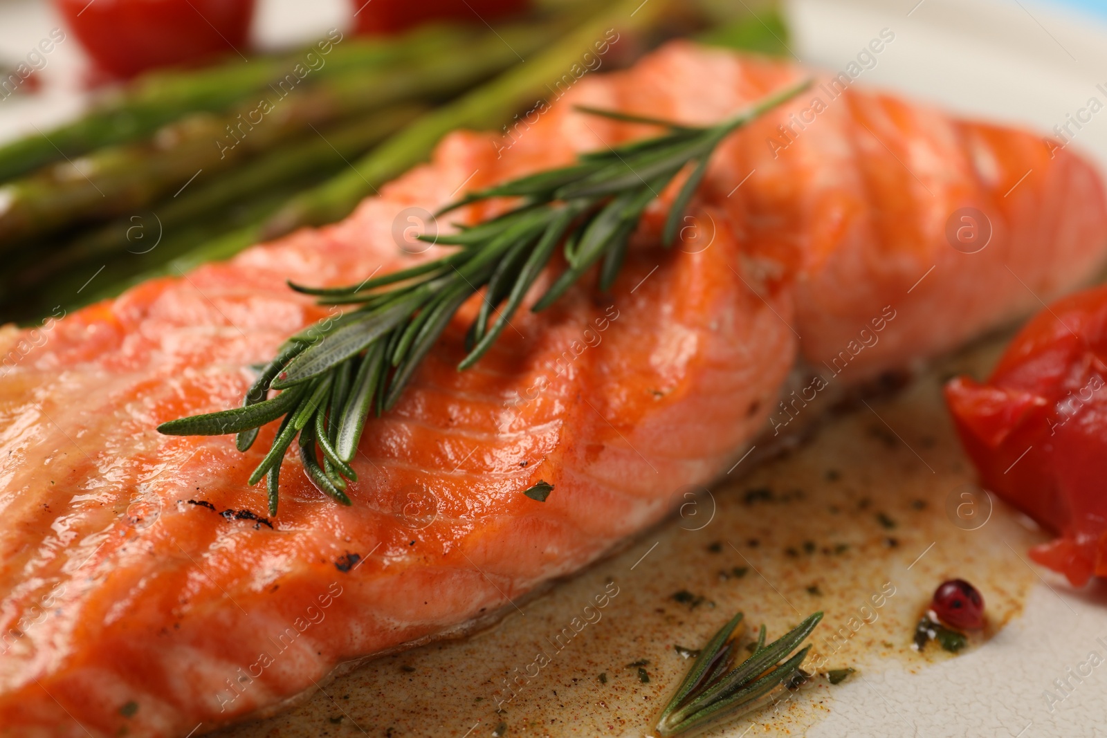 Photo of Tasty grilled salmon with spices on plate, closeup
