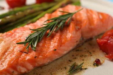 Tasty grilled salmon with spices on plate, closeup