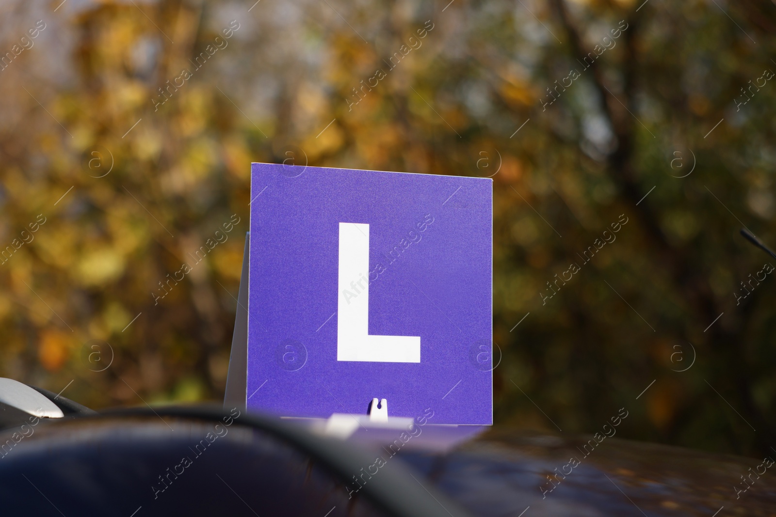 Photo of L-plate on car roof outdoors. Driving school