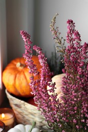 Beautiful heather flowers, wicker basket with pumpkins and candles near grey wall, closeup