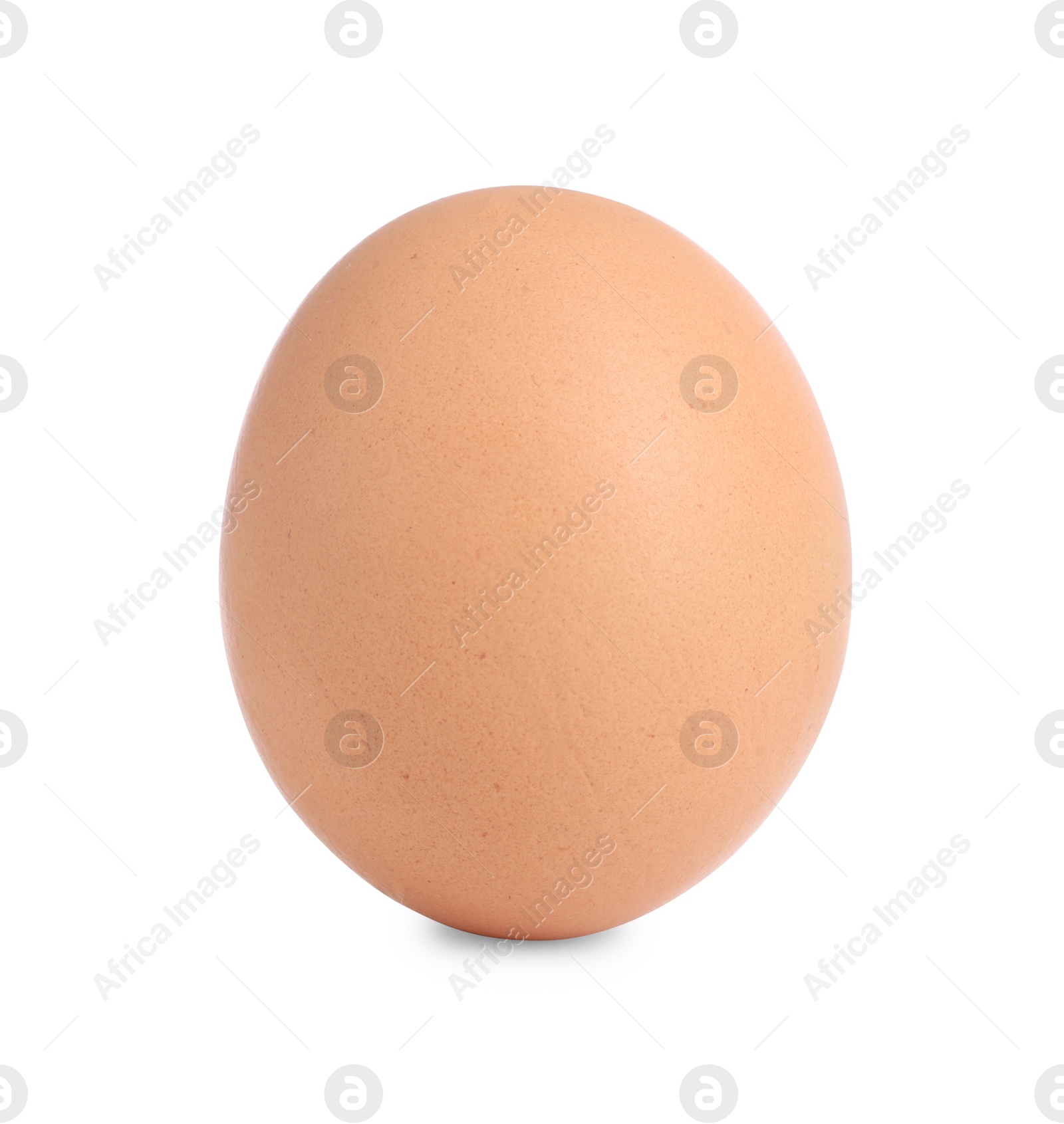 Photo of One raw chicken egg isolated on white