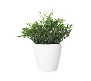 Photo of Artificial potted baby panda plant on white background. Home decor